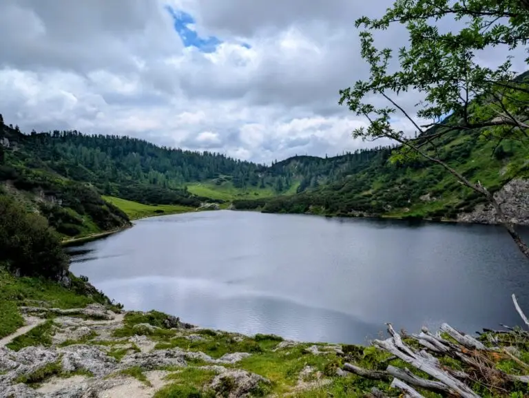 WhatsApp Image 2026-02-21 at 16.15.09