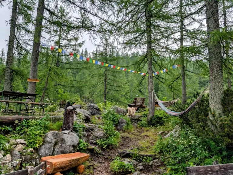 WhatsApp Image 2026-02-21 at 16.16.31